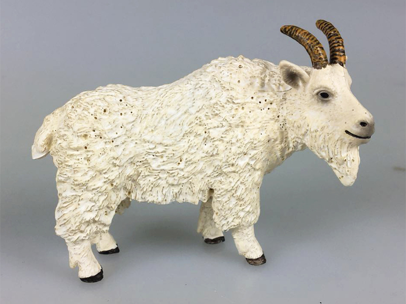 White Snow Sheep