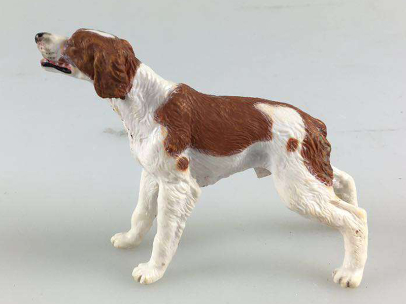 Brittany Hound