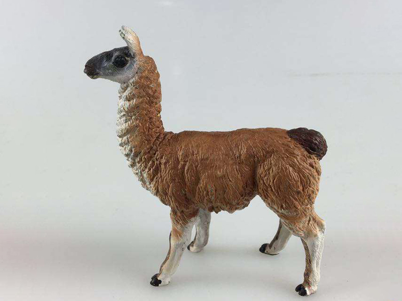 Alpaca