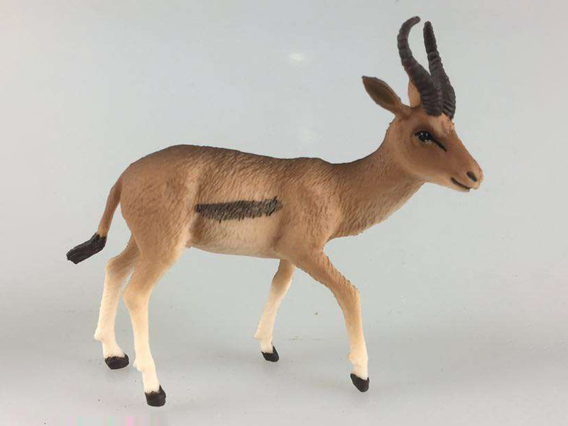 Antelope