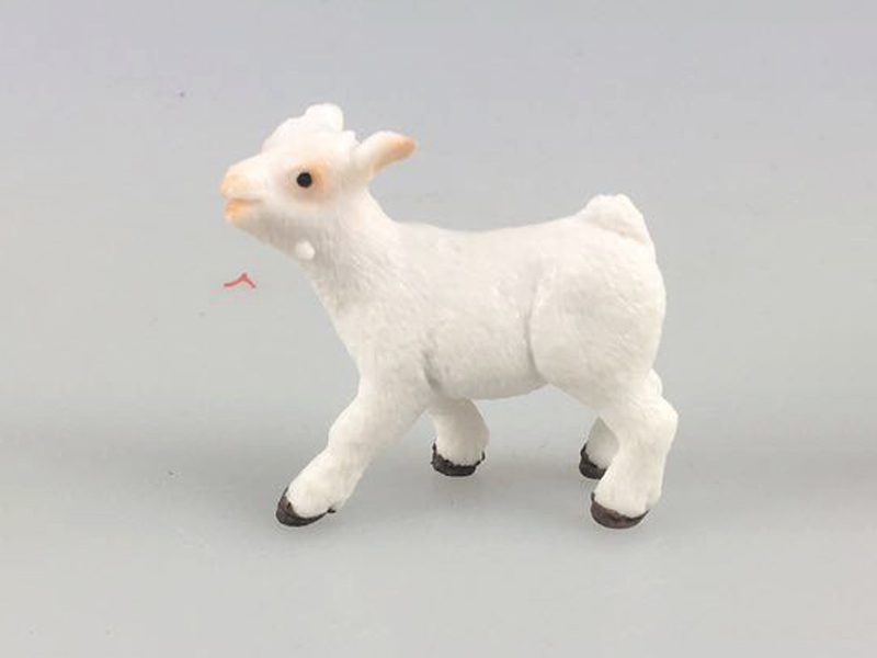 Lambs