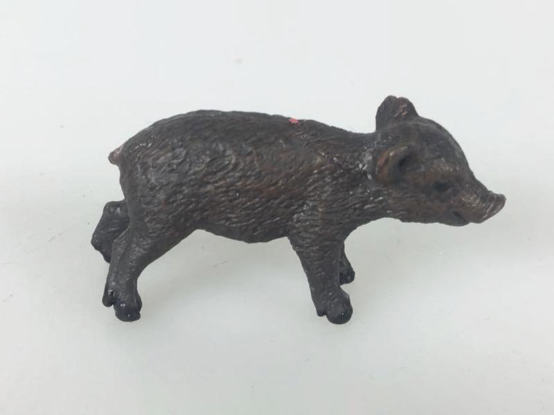 Boar Cubs