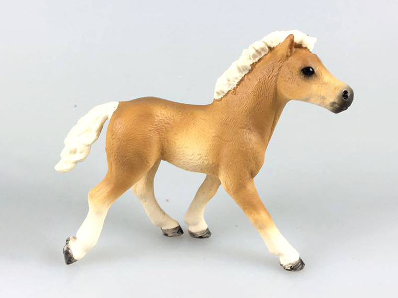 Harvard Lin Pony