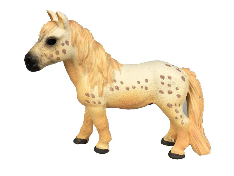 Icelandic Pony