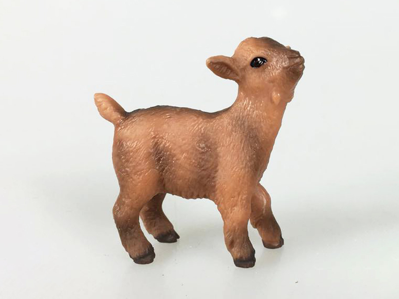 Lamb