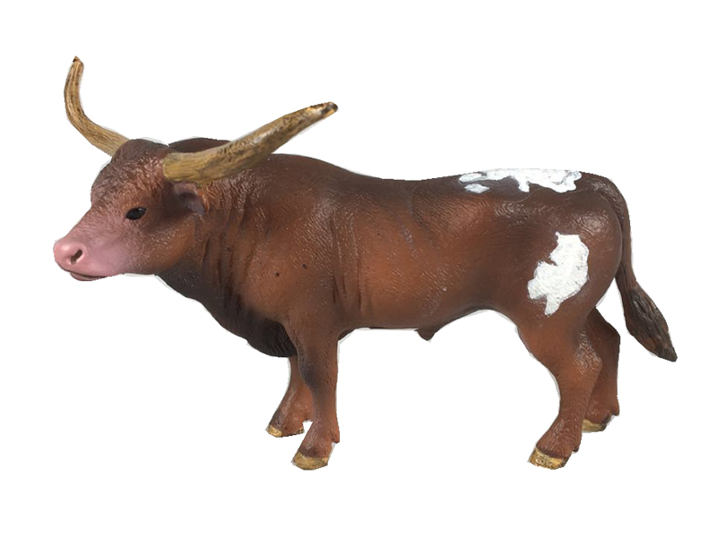 Texas Longhorn Bull