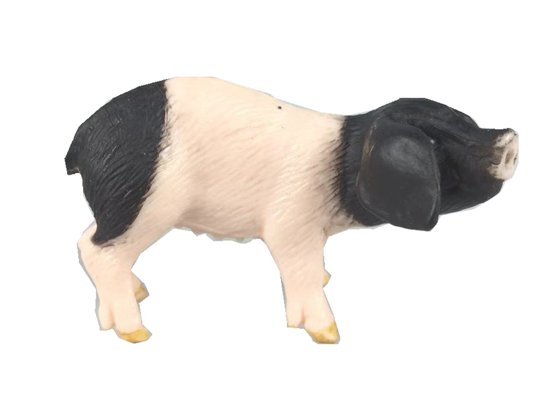 Eared Piglet
