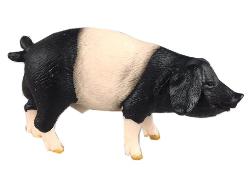 Eared Boar