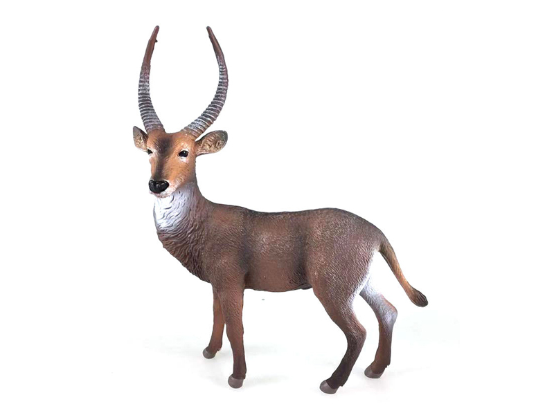 Waterbuck