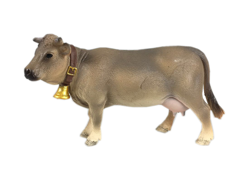 Swiss Brown Cattle
