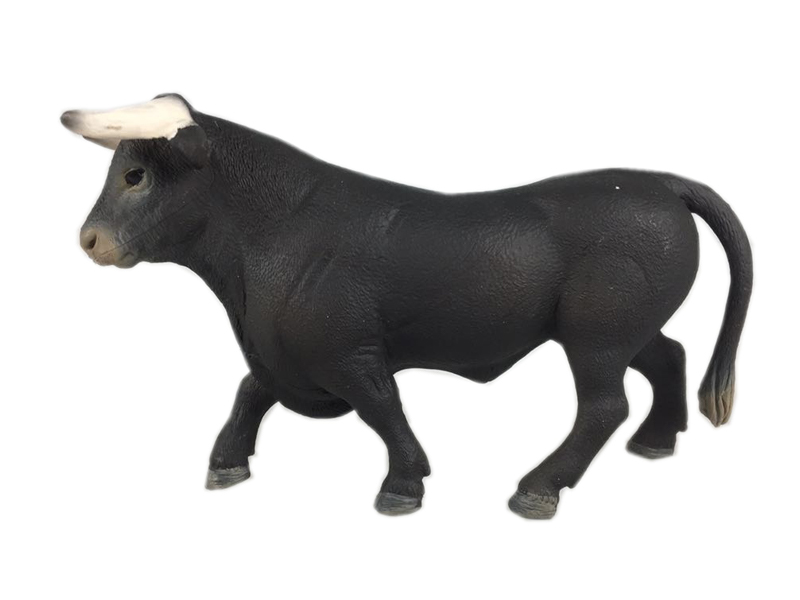 Bull