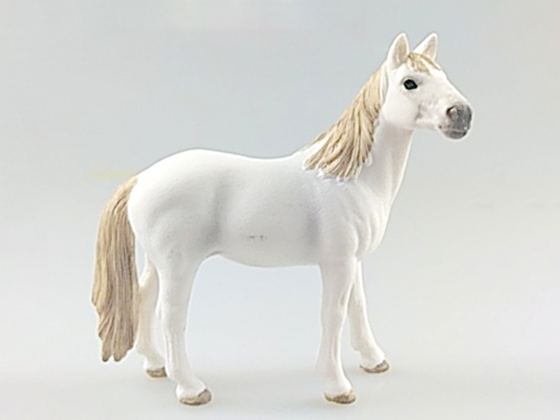 Wild Horse