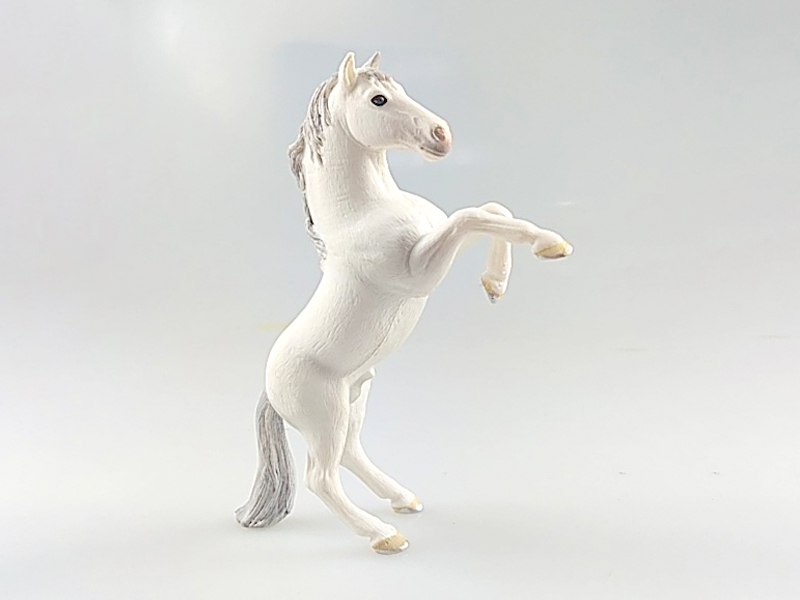 Wild Horse