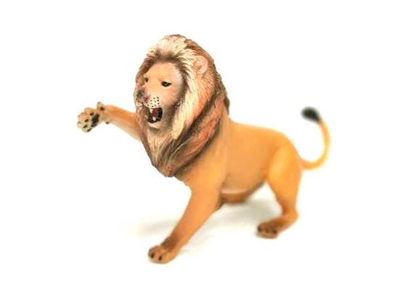 Male Lion