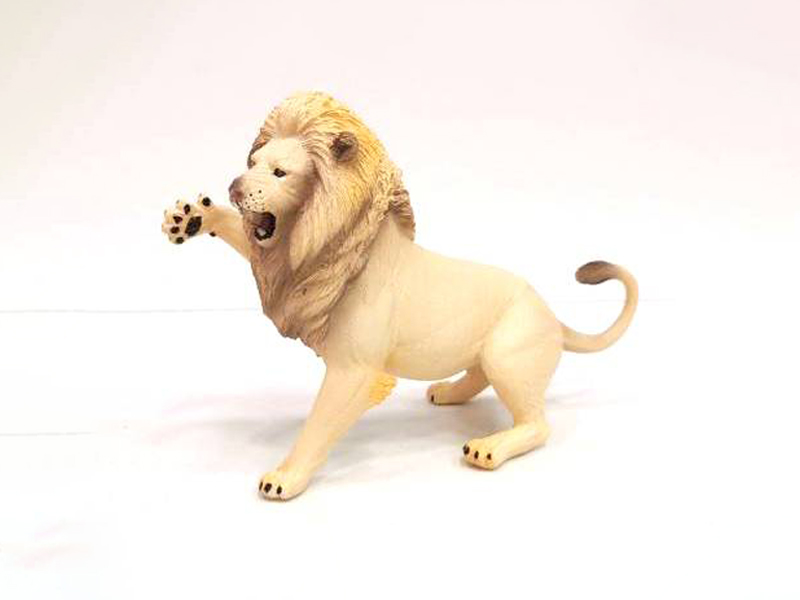 Male Lion