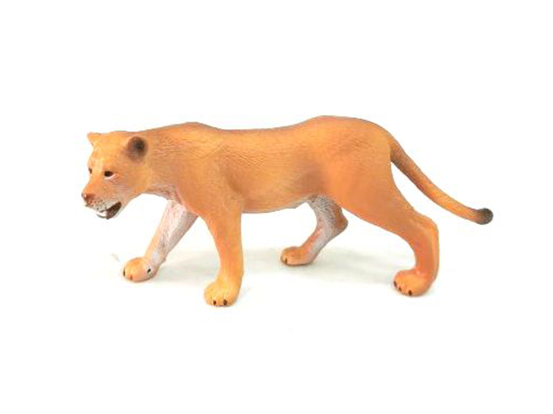 Lioness