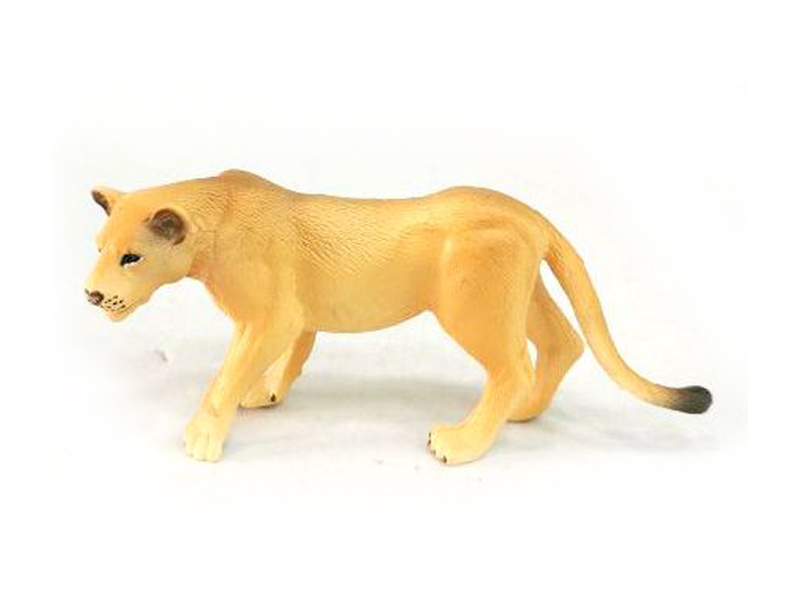 Lioness
