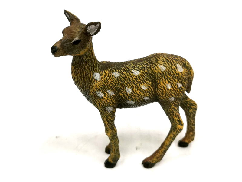 Young Deer