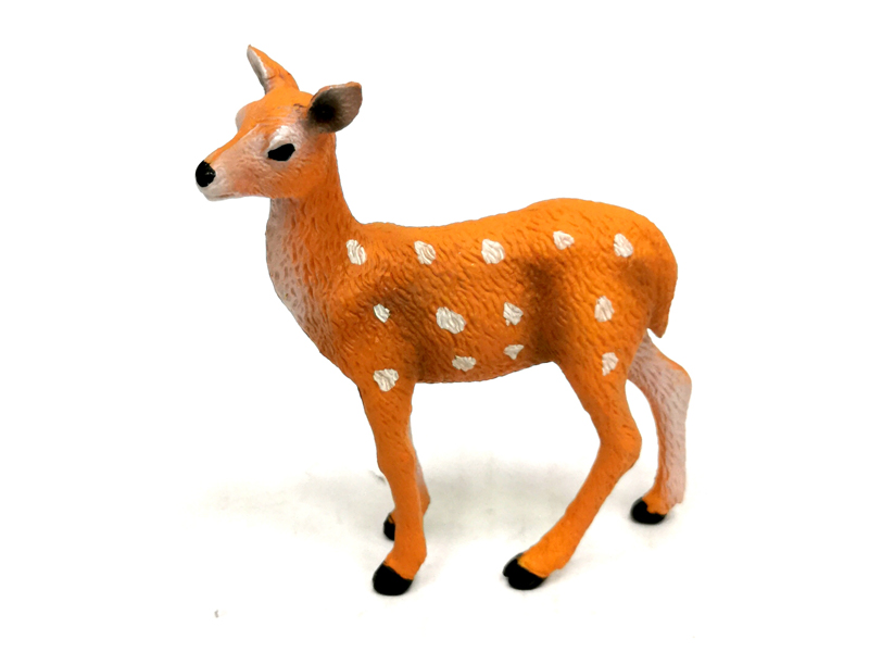 Young Deer