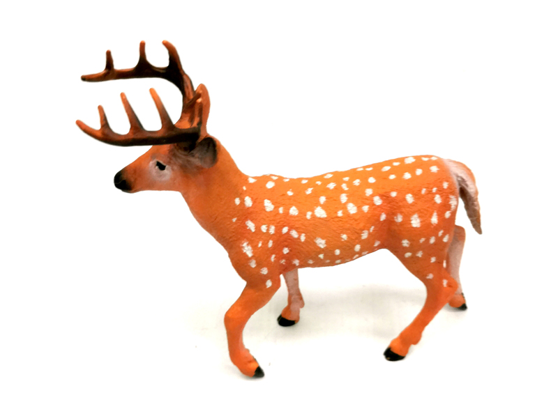 Sika Deer
