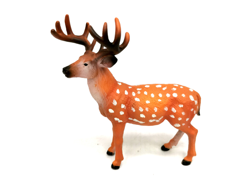 White Tailed Deer