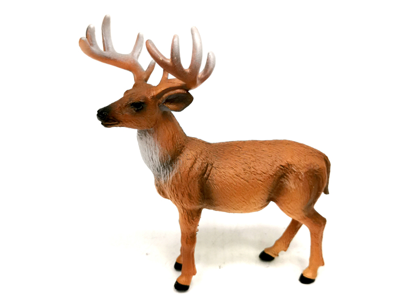 White Tailed Deer