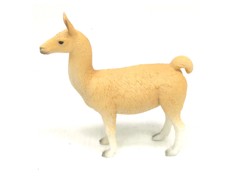 Alpaca
