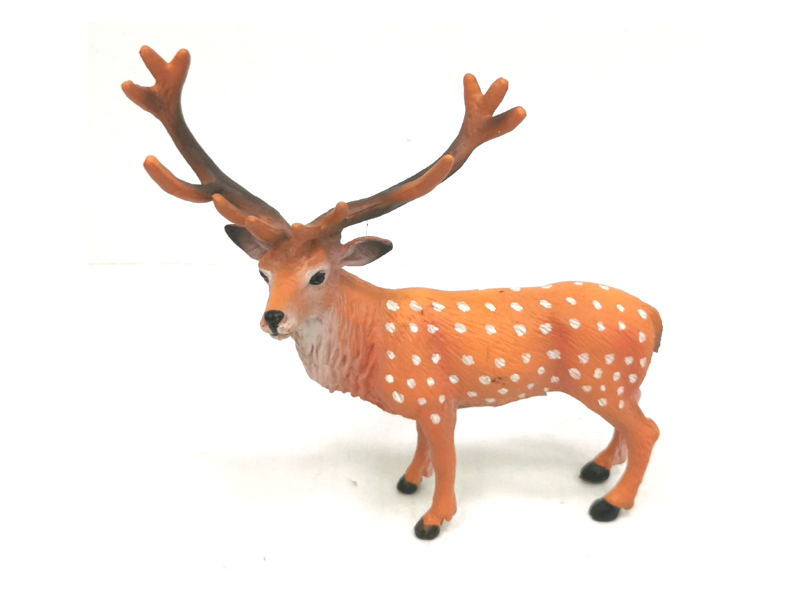 Sika Deer
