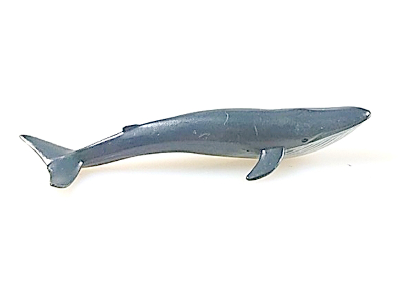 Blue Whale