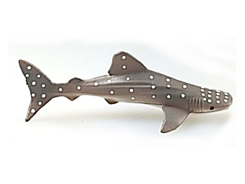 Whale Shark