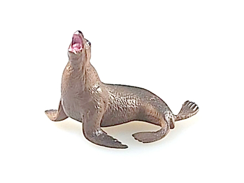 Sea Lions