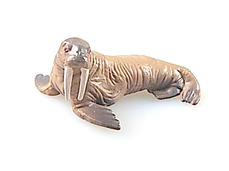 Walrus