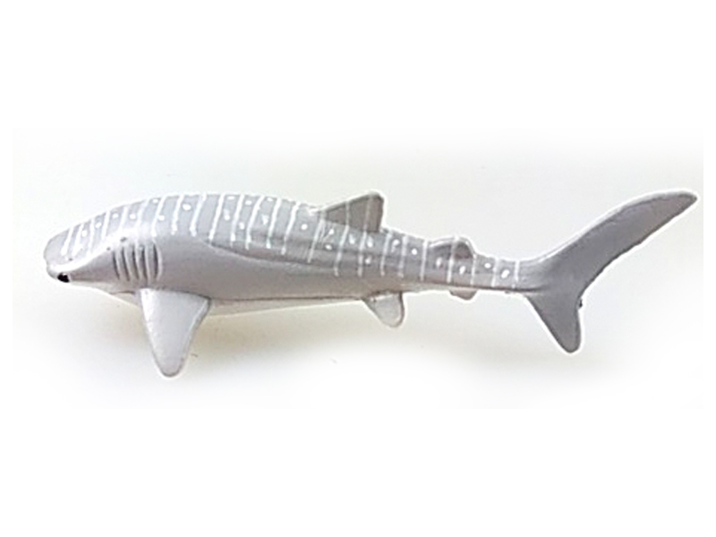 Open Mouth Whale Shark