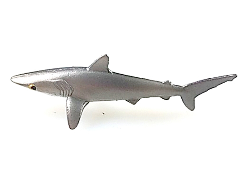 Silky Shark
