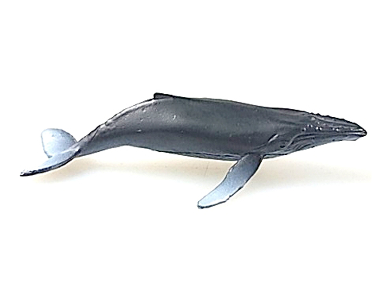 Humpback