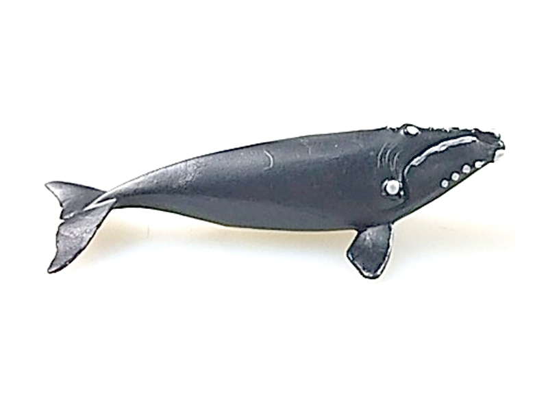 Humpback