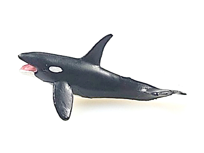 Killer Whale