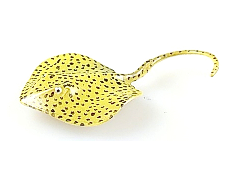 Ray