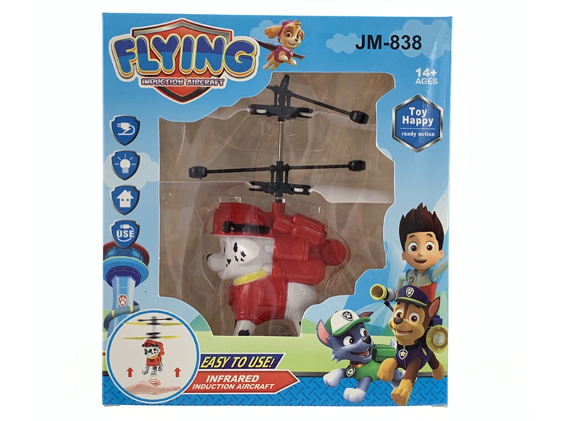 Induction Fying PAW Patrol