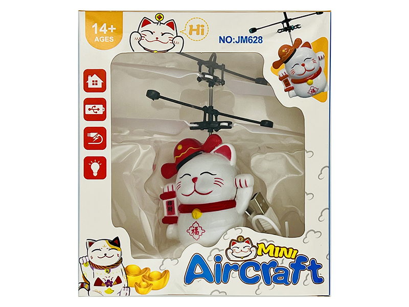 Induction Fying Fortune Cat