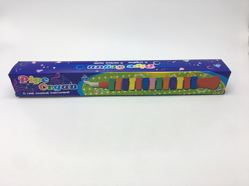 13 Key Melodica