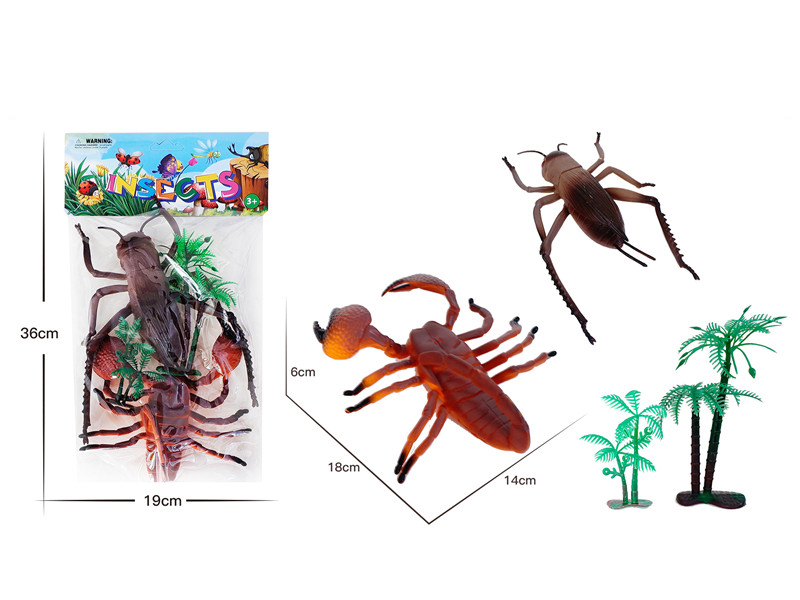 Insect Animal Set