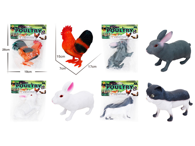 Large Poultry Animals
