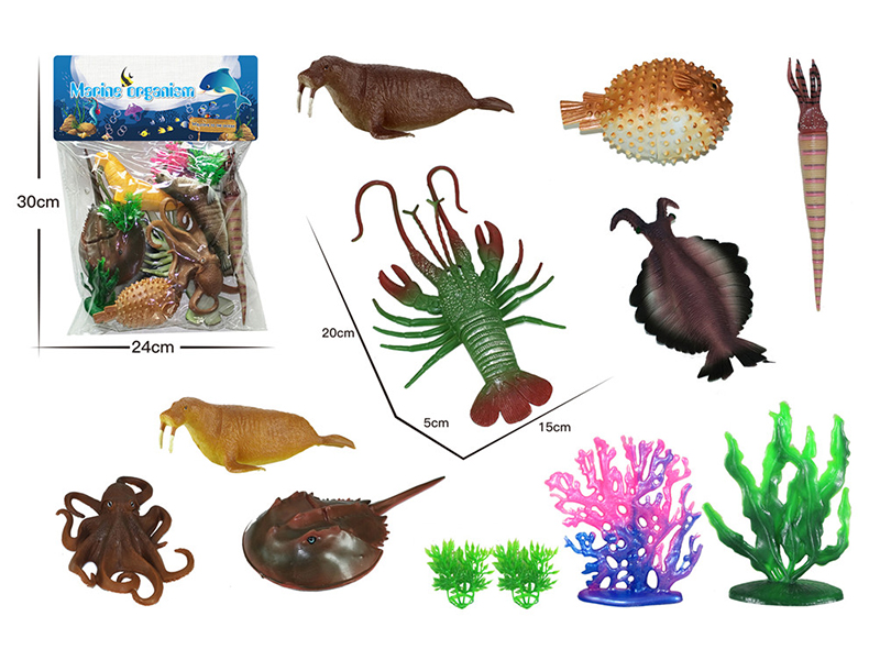 Sea Animals Set