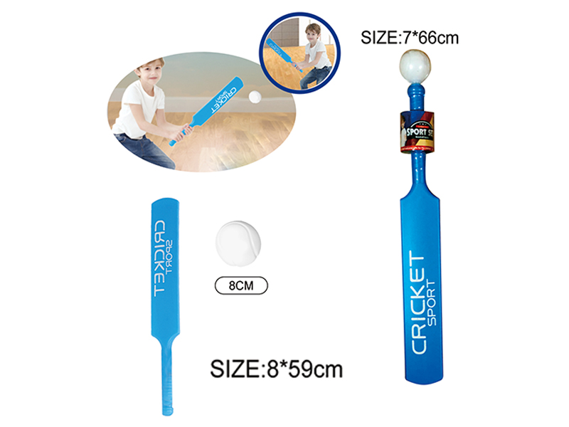 Cricket