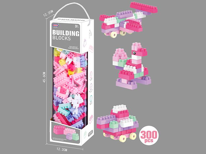 Girls Building Blocks (300PCS)
