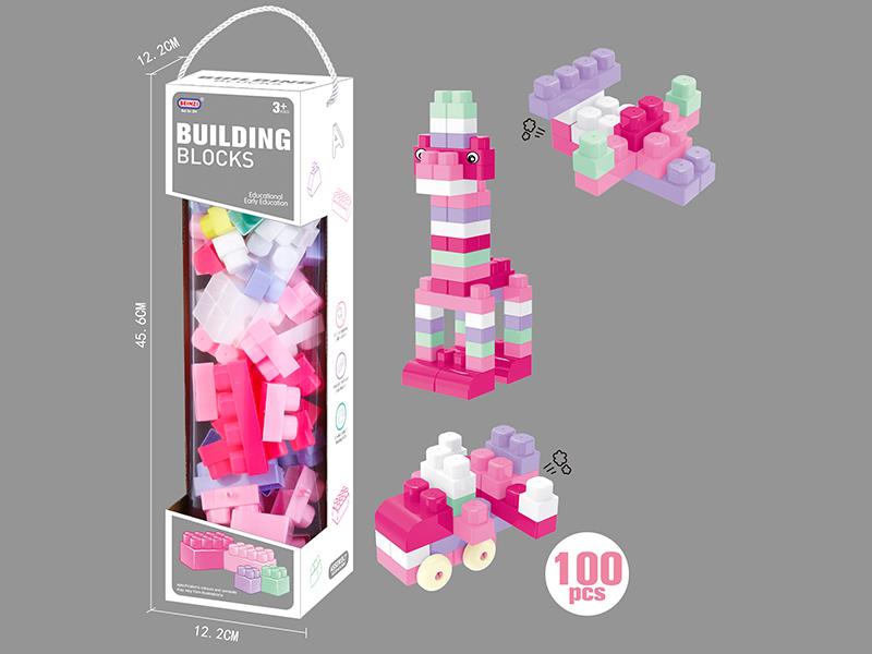Girls Building Blocks (100PCS)