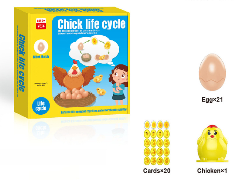 Chick Life Cycle Game