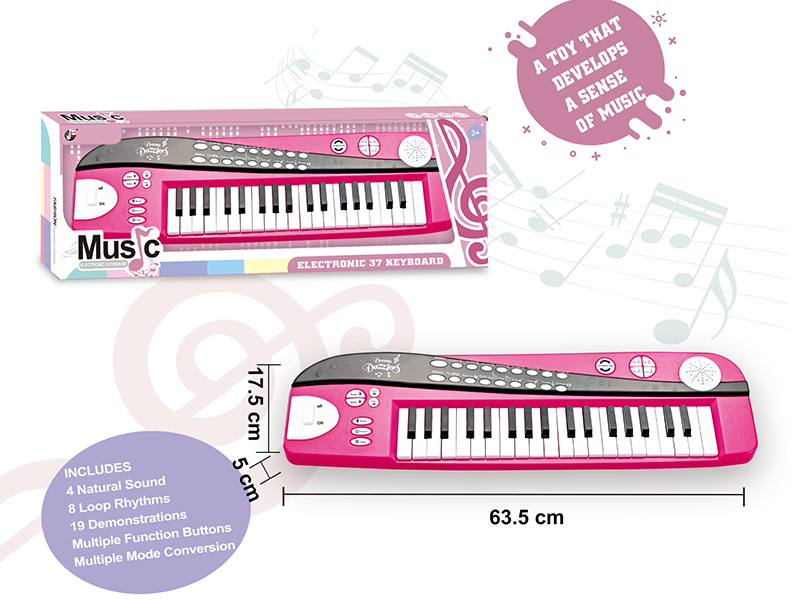 Electronic Organ
