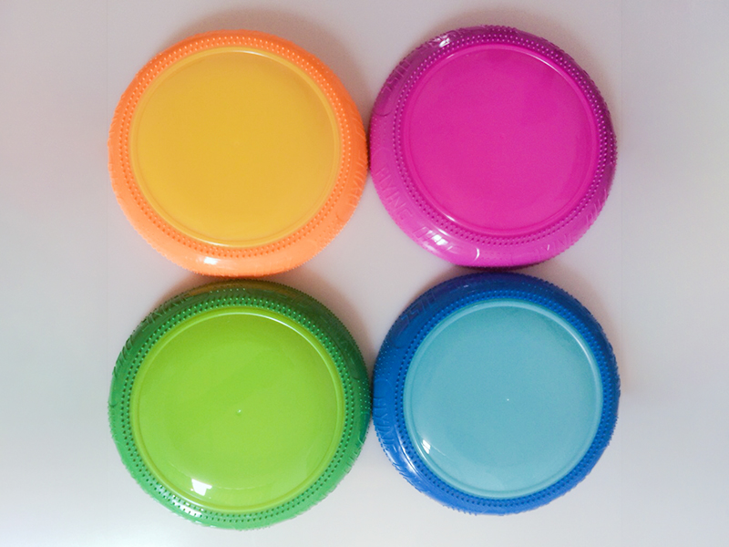 26cm Frisbee Toy